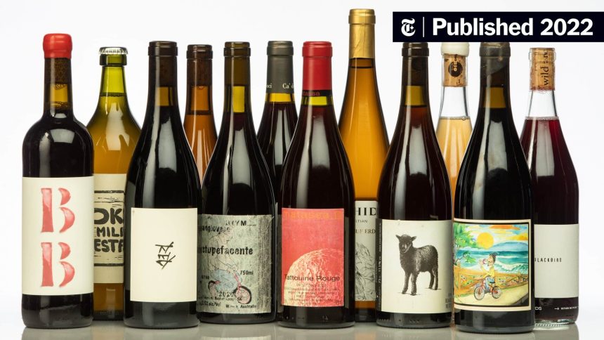 Belajar Tentang Wine